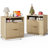 Seyla 23''W Nightstand Set of 2 with 2-Drawer Open Cubby, Built-In Charge Outlets-635336227-609790903