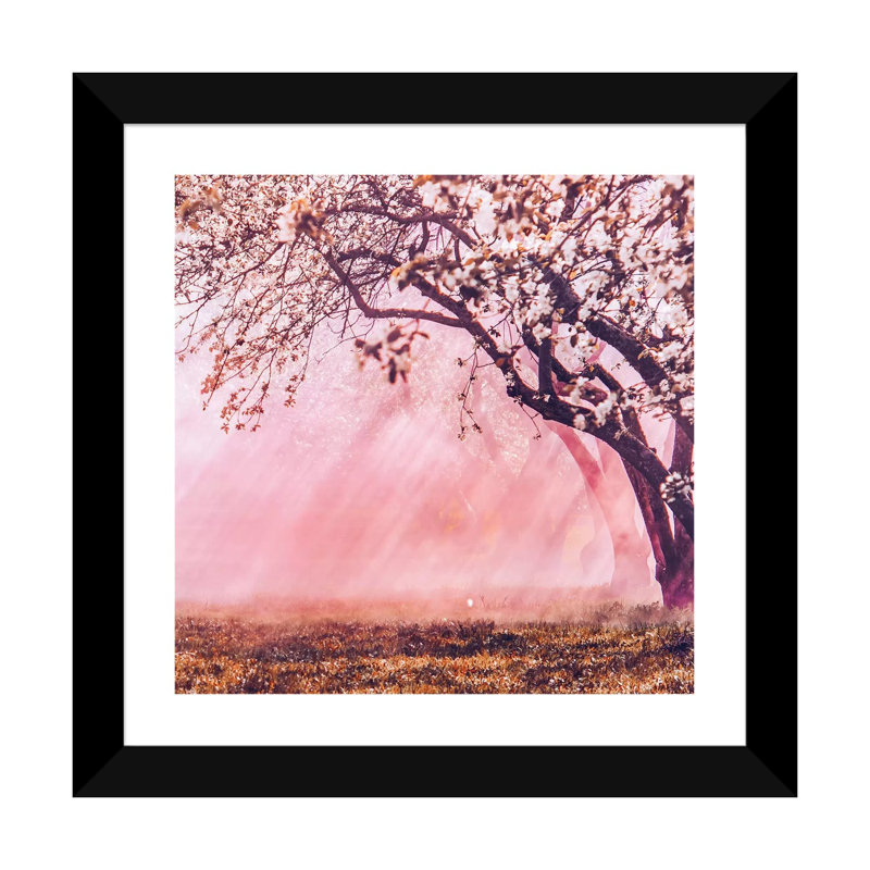« Sunrise Blossom » par Hobopeeba-impression, H 16 po x l 16 po x P 1 po, Blanc, Papier encadré noir