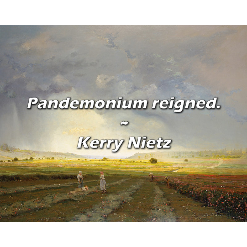 Kerry Nietz Quote: Pandemonium reigned.