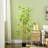 70.75'' Faux Bamboo Tree in Cement Pot