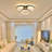 Modern Black LED Ceiling Light