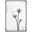 Pissenlit «Simple Whimsy Flying Dandelion-56407337-56407338-119402273