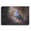 Art mural en métal Winston Porter «Pigeon Inside The Wall» par Momart-2102350106
