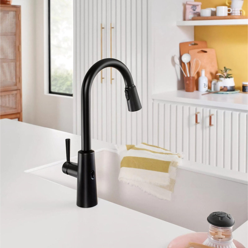 Robinet de cuisine MOE Riley, Noir