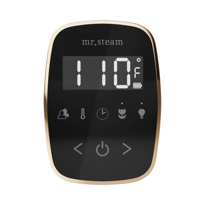 TempoFlex Steam Shower Control and Steamhead 