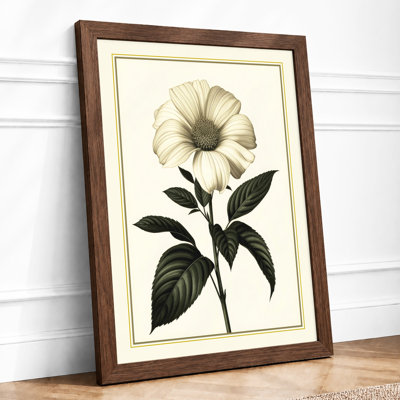 Classical Study Botanical - Framed Print