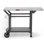 Table de barbecue en acier inoxydable avec roulettes l 43 po x P 20 po Feasto