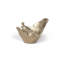 Bol à oiseau à crête, petit-649180536
