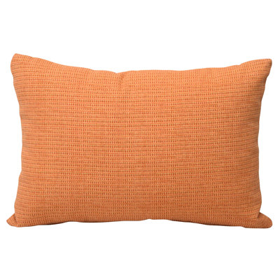  Kidney Outdoor Rectangular Pillow Cover & Insert