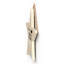 Witch Broom Parking Wooden Star Plaque