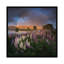 «Spring in New Zealand VII», impression sur toile-31845821-73209428-73209429