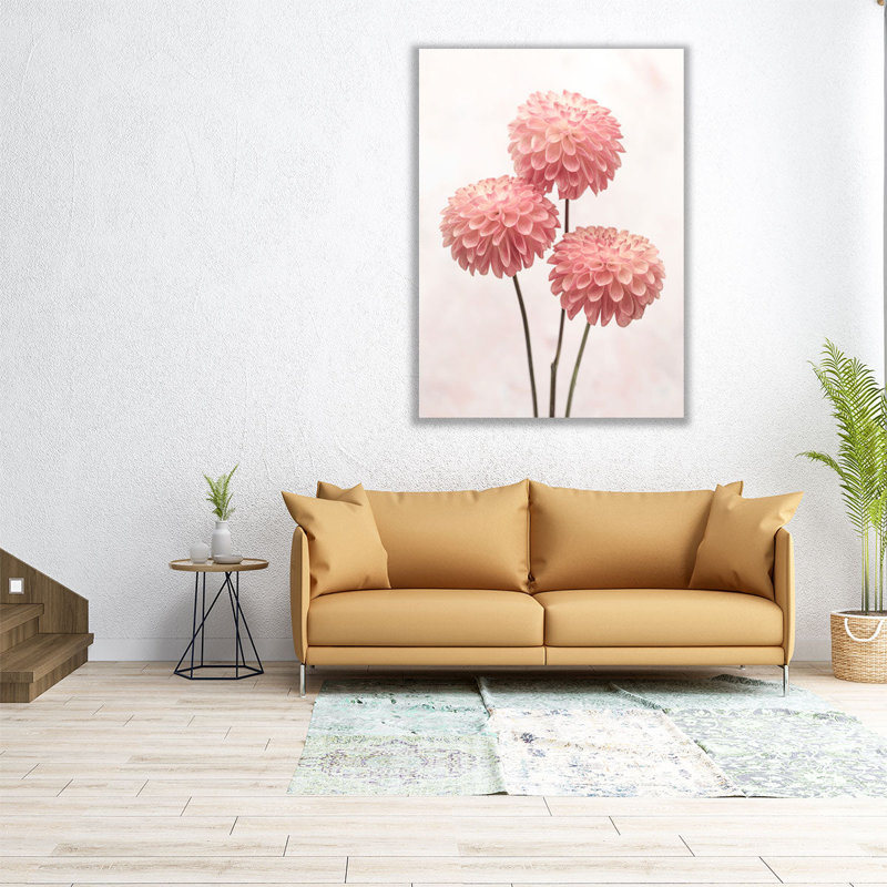 Trois fleurs de dahlia sur fond blanc - reproduction d'art sur toile, H 32 po x l 24 po
