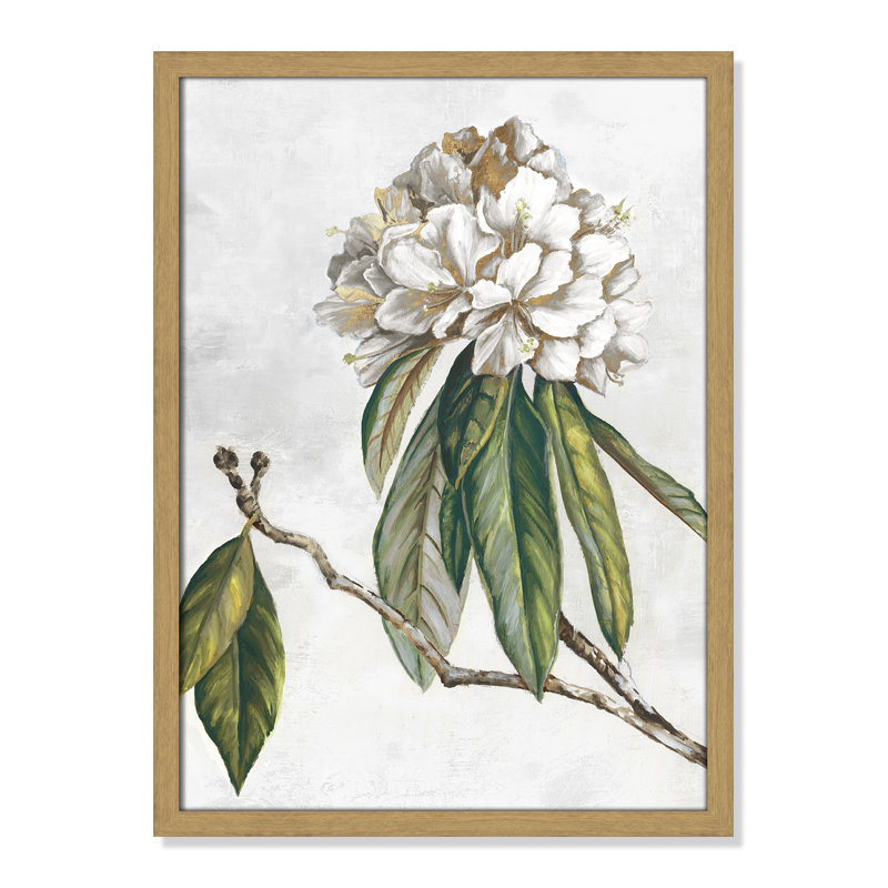 «Pearly Beauty II» par Eva Watts, Grain de bois naturel, L 17 po x H 23 po, Impression encadrée