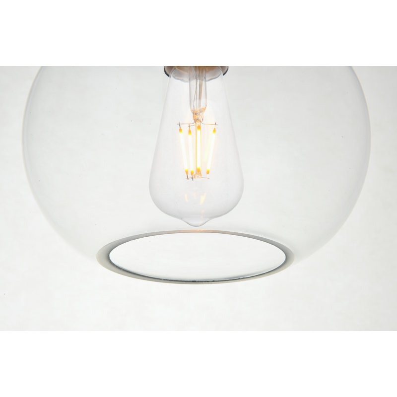Luminaire suspendu simple à 1 lumière Blaklie, Noir