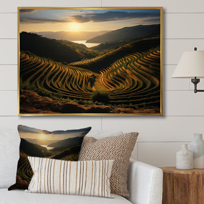 " Scenic Dynamic Vineyard I "
