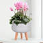 Plaited Style Bowl Planter with Feet-916595665-916595666