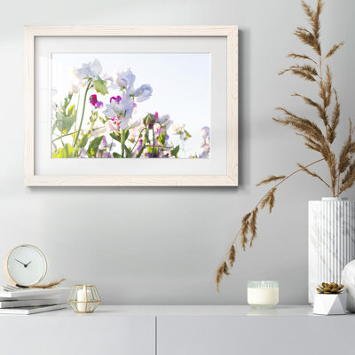 " Spring Blooms "