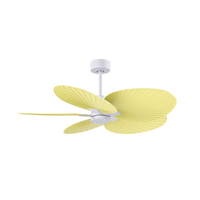Alessandra - Five Blade Ceiling Fan