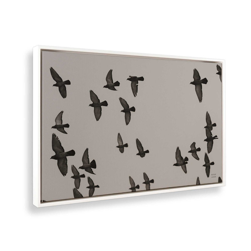 «Flock I» par Nathan Larson, reproduction d'art sur toile, Cadre flottant, H 24 po x l 36 po, Blanc