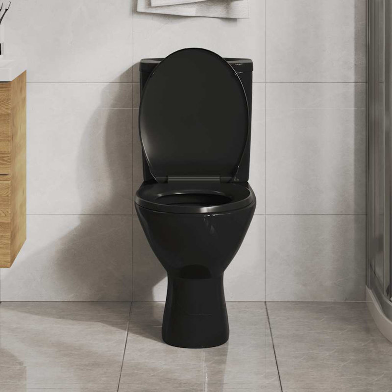 vidaXL Soft-Close Toilet Seat with Quick-Release Design Black, Black