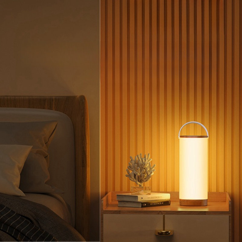 Luminaire suspendu d'extérieur à piles 10,8 po à changement de couleur