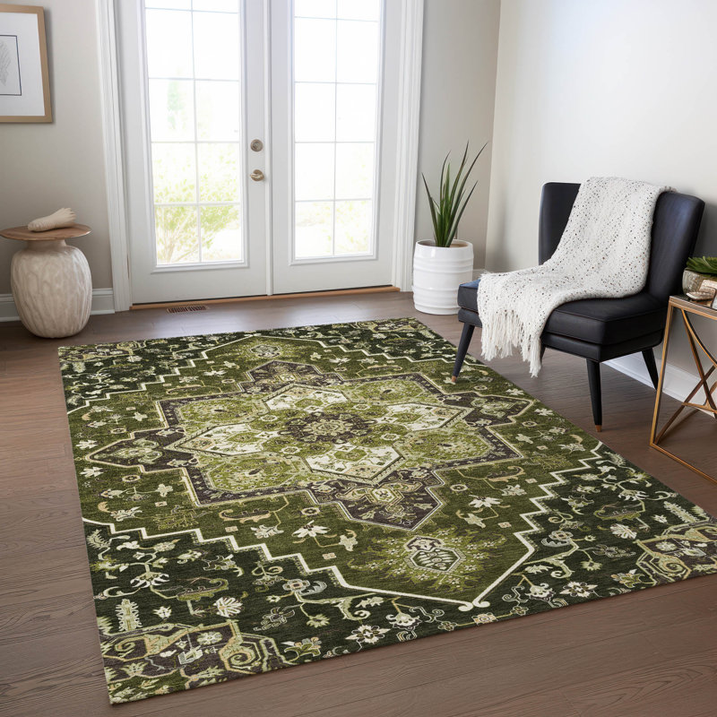 Machine Washable Indoor/Outdoor Chayden ACN1036 Rug, Rectangle 2'6" x 3'10"