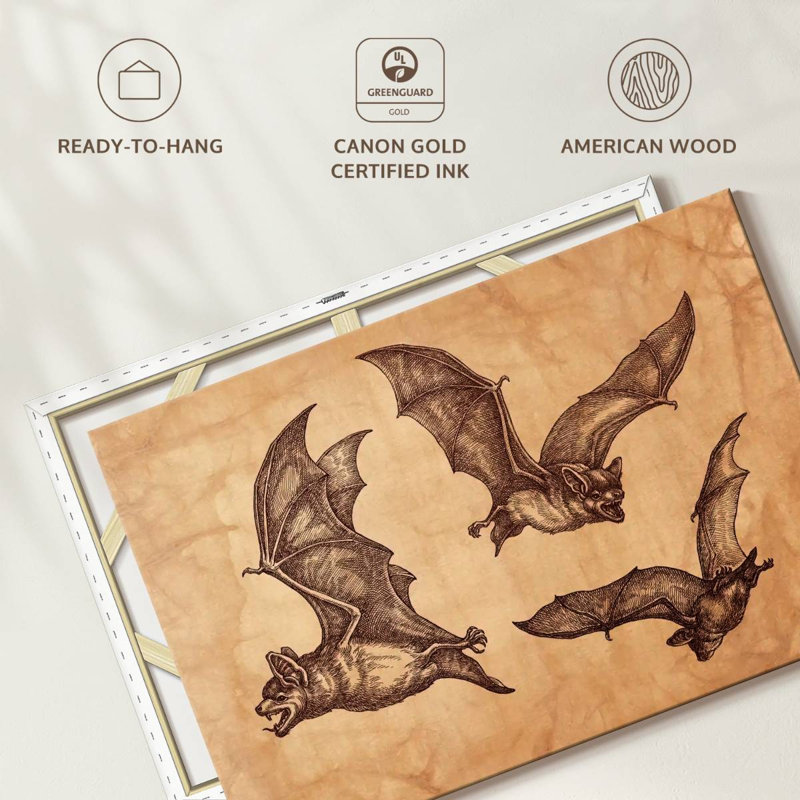 Chauves-souris Brampt, H 16 po x l 24 po