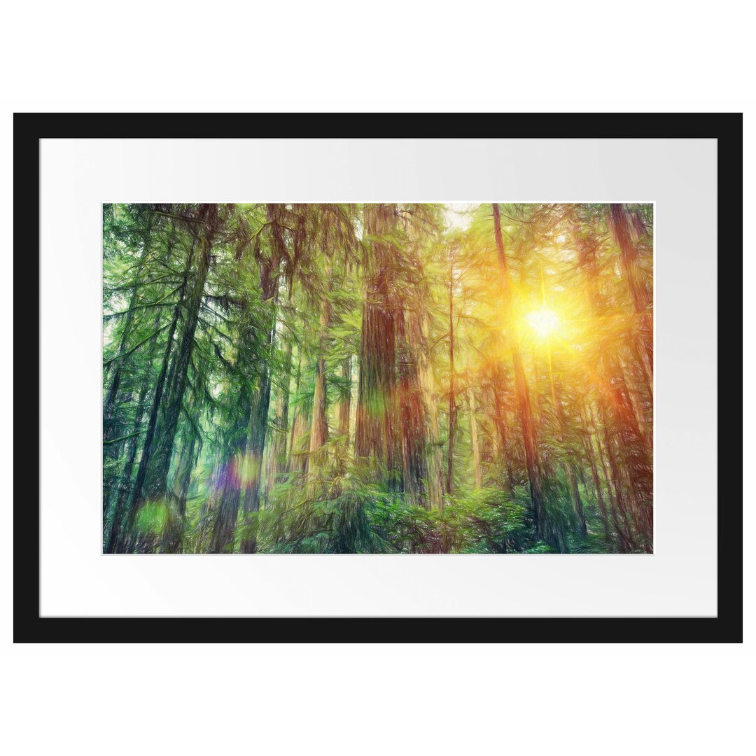 Gerahmtes Poster Wald bei Sonnenlicht