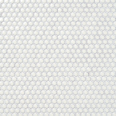 Bliss 11.49'' W x 12.32'' L Ceramic Penny Round Mosaic Floor and Wall Tile