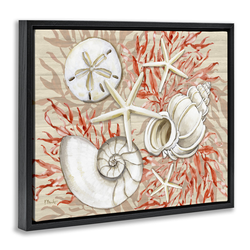Cadre flottant Coral White Shells, design par Paul Brent, Cadre flottant noir de jais, H 17 po x l 21 po