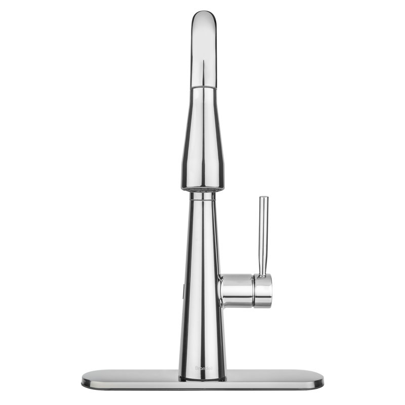 Jema Single Handle Pull-Down Kitchen Faucet, Chrome, Chrome