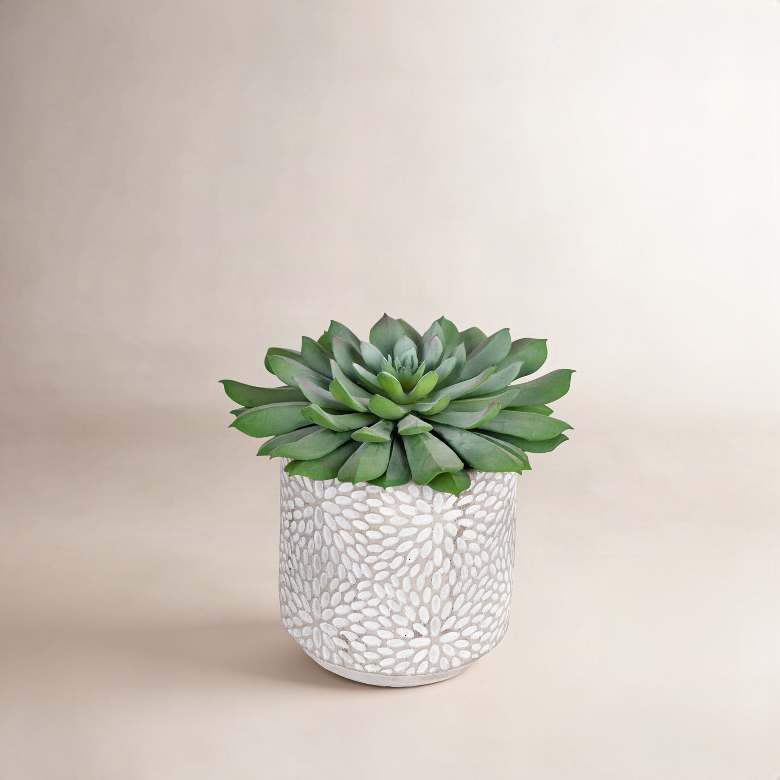 6'' Faux Succulent Plant in Stone Pot
