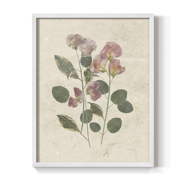 Pressed Arrangement II Framed Print - Solid Wood, 11" H x 9" W, White