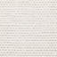Elizabeth Area Rug in Ivory-66175324