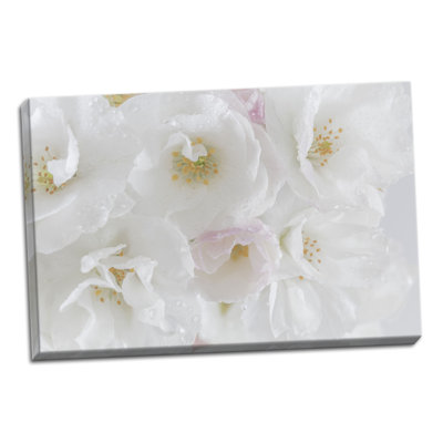 « white cerise fleuries i », reproduction de photo
