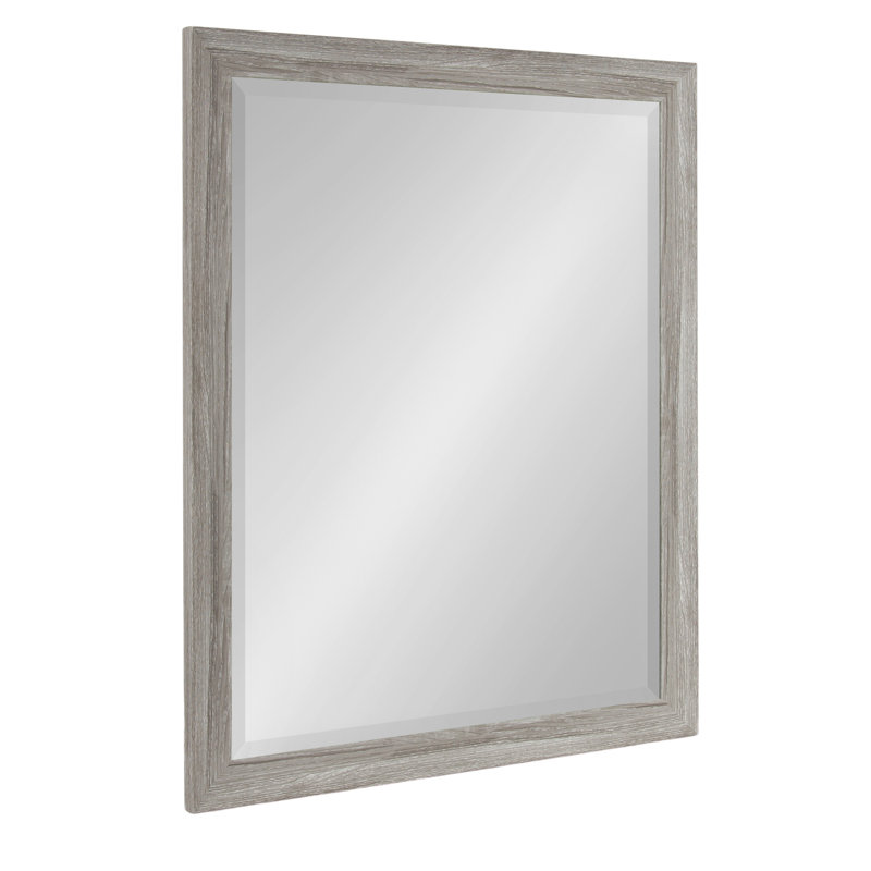 Dalphia Beveled Rectangle Bathroom Mirror