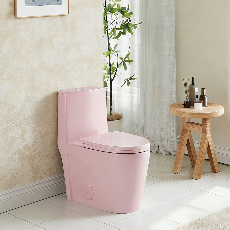 TONA 1.1/1.6 GPF Dual-Flush One Piece Elongated Toilet Floor Mounted Soft Close Toilet(Seat Included), Pink, Pink