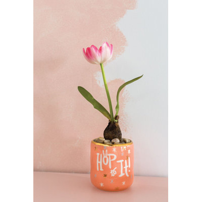 Jodeane Handmade Ceramic Pot Planter