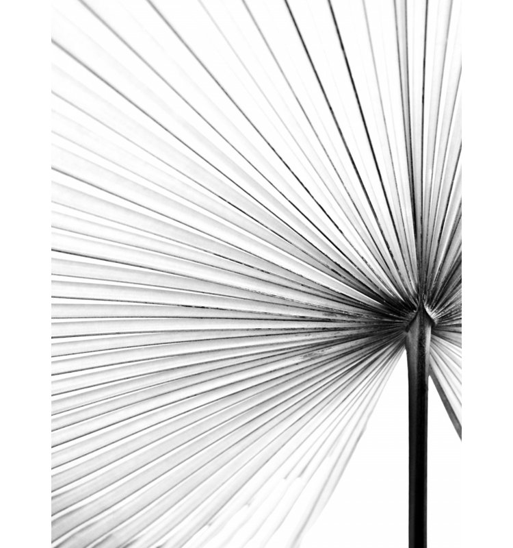Wrapped Canvas Print, 91.44 cm H x 60.96 cm W