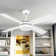 48" Avdie 4 - Blade Ceiling Fan with Light Kit and Remote Control Included