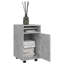 Makenzlie 33cm Wide File Cabinet-1158997440