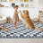 6x9 Checkered Area Rug, Abstract Washable Soft Rugs for Living Room, Modern Geometric Non Slip Low Pile Carpet for Bedroom, Dining Room, Black-223283903