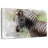Brampt Magnificent Zebra-108155958
