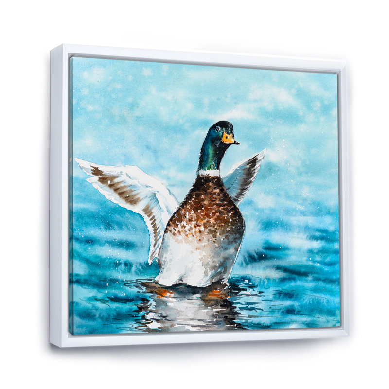 Canard colvert étirant ses ailes - sur, H 16 po x l 16 po x P 1 po, Toile encadrée flottée blanche