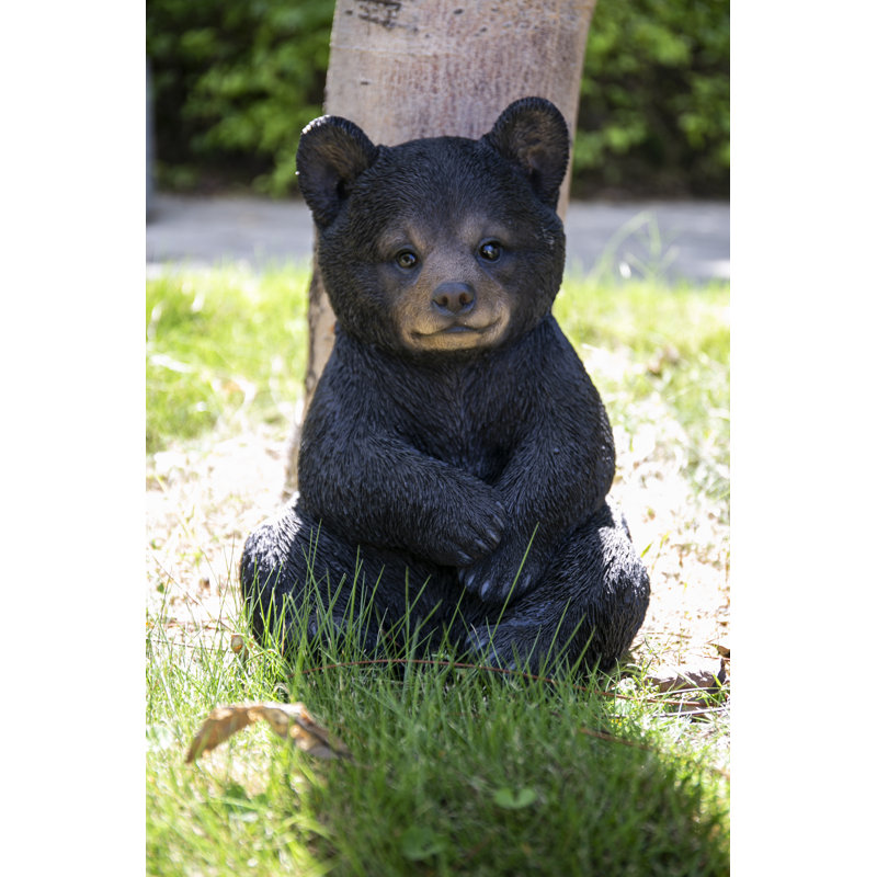 Sitting Black Bear Cub