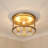 Aarav Glass Flush Mount-925616121