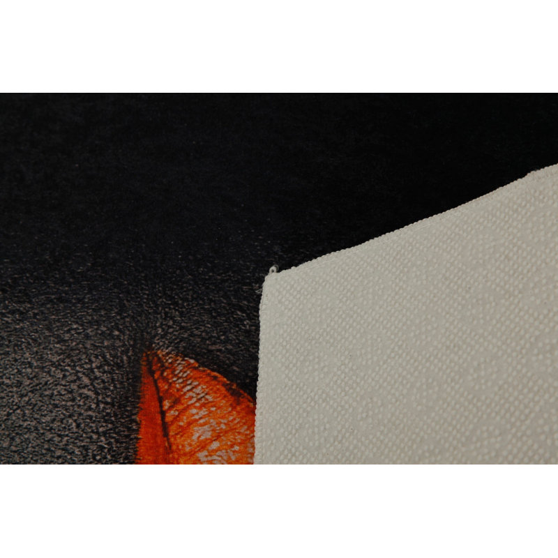 Soft Hall Carpet 2.6 x 4.9 Feet | 100% Polyester, 0.04 in Pile Height | Antibacterial, Non-Slip Underside | Woven with 3D Digital Printing | Machine Washable | Durable & Stylish for Entryways & Living Rooms
