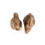 Clever Creatures Bunny Salt And Pepper Set/2Pc - Napoleon & Josephine - Multi