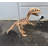 Baby T-Rex Dinosaur Skeleton Life Size Statue