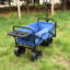 Chariot de plage pliable-123262905